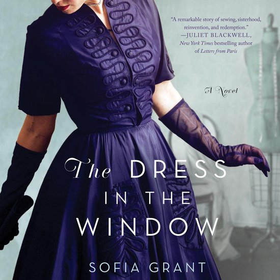 The Dress in the Window - cover