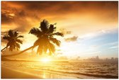 Poster – Palmboom met Ondergaande Zon aan het Strand  - 60x40cm Foto op Posterpapier