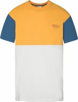 Protest Nestor t-shirt heren - maat xl