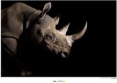 Komar Black Rhinoceros Kunstdruk 70x50cm Poster - 70x50cm