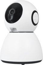 OEM 2mp PTZ IP beveiligingscamera bestuurbaar met Google Assistant en Amazon Echo