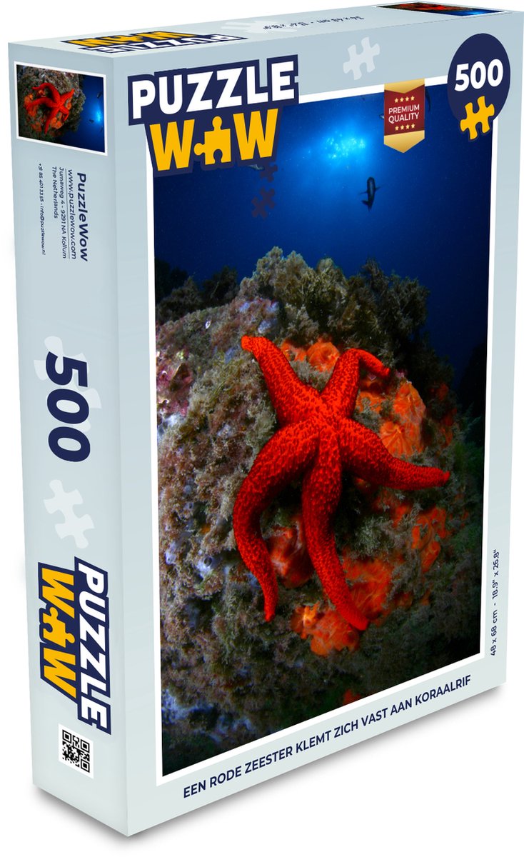 Afbeelding van product Puzzel 500 stukjes Zeester - Een rode zeester klemt zich vast aan koraalrif - PuzzleWow heeft +100000 puzzels