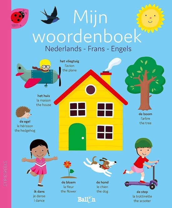 Foto: Stipjesreeks 1 mijn woordenboek nederlands frans engels