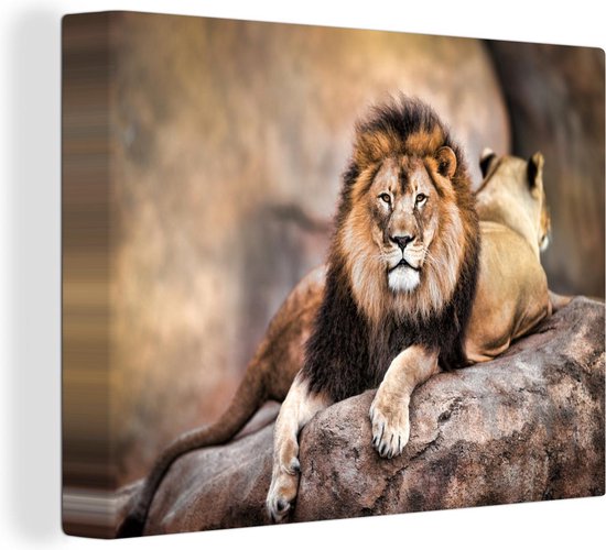Lion et une lionne couchée sur un rocher 80x60 cm - Tirage photo sur toile (Décoration murale salon / chambre) / Peintures sur toile animaux sauvages