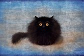 An unusual cute sorry card with a fluffy mad black kitten sitting on the beautiful gradient blue background - Modern Art Canvas - Horizontal - 681172321 - 80*60 Horizontal
