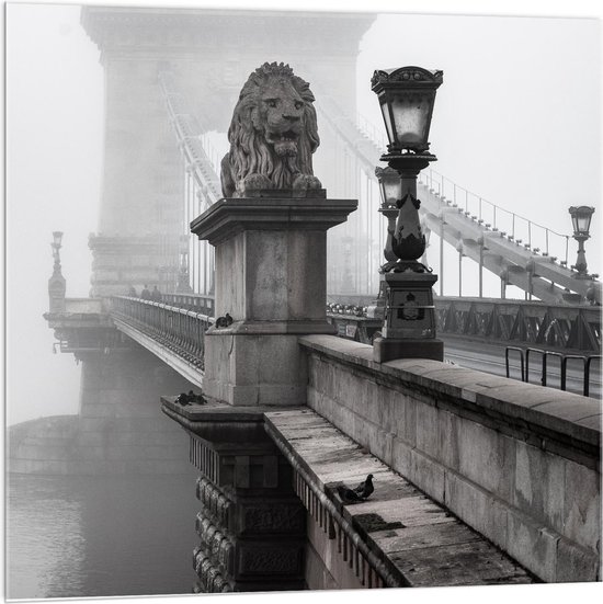 Acrylglas - Kettingbrug in Boedapest met Mist Zwart-Wit - 100x100cm Foto op Acrylglas (Wanddecoratie op Acrylglas)