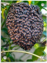 Tuinposter – Foto van een Wespennest - 30x40cm Foto op Tuinposter  (wanddecoratie voor buiten en binnen)