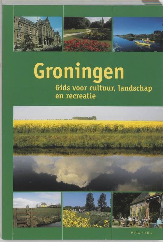 Inzet marmeren Weggegooid Groningen, Hartman | 9789052941035 | Boeken | bol.com
