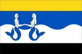 Vlag gemeente Schouwen-Duiveland 70x100 cm
