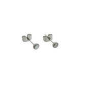 Aramat jewels ® - Oorbellen zweerknopjes wit schelp zilverkleurig chirurgisch staal 4mm