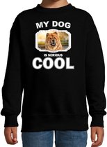 Chow chow honden trui / sweater my dog is serious cool zwart - kinderen - Chow chows liefhebber cadeau sweaters 5-6 jaar (110/116)