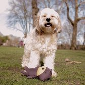Beco Pets Teddy- Hondenknuffel met Pieper - Geschikt voor middelgrote honden - Medium