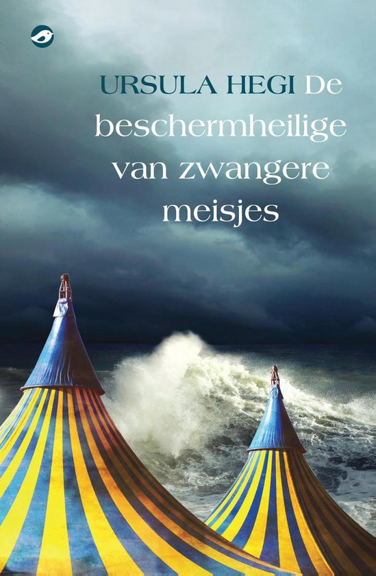 De beschermheilige van zwangere meisjes - cover