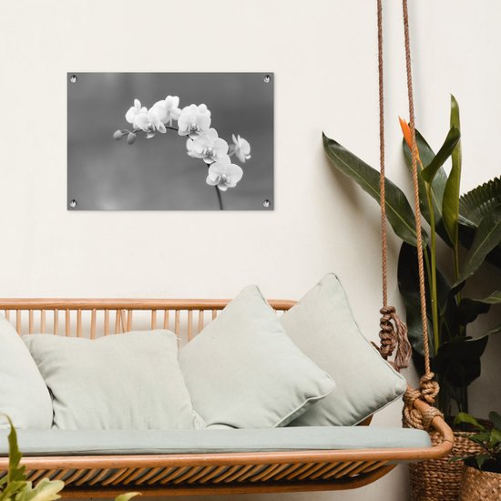 Décoration de jardin Orchidée - Fleurs - Plante - Wit - Violet - 60x40 cm - Poster jardin - Toile jardin - Poster extérieur