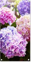 Tuinposter Bloemen - Hortensia - Roze - Bladeren - Zon - 40x80 cm - Wanddecoratie Buiten - Tuinposter - Tuindoek - Schuttingposter - Tuinschilderij