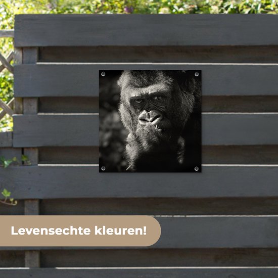 Posters de jardin Gorilla sur fond noir en noir et blanc - 50x50 cm - Toile jardin - Poster extérieur