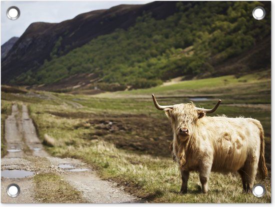 Décoration de Jardin Highlander écossais - Chemin - Forêt - 40x30 cm - Toile de jardin - Poster extérieur