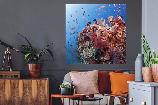 Sticker Muursticker Récif de corail - Corail rouge inocean - 100x100 cm - film adhésif autocollant - sticker mural repositionnable XXL /