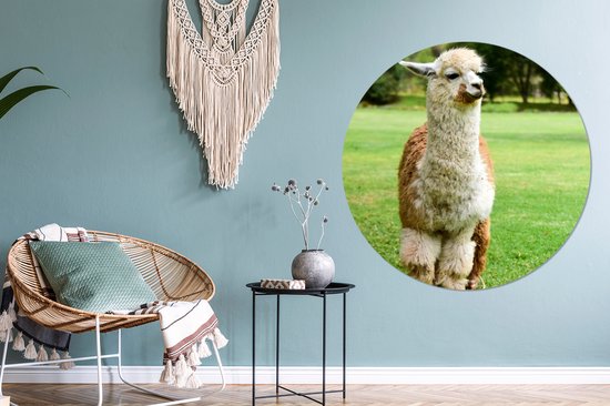 WallCircle - Wall Circle - Wall Circle Indoor - Alpaga - Wit - Marron - Arbre - 150x150 cm - Décoration murale - Peintures Ronds