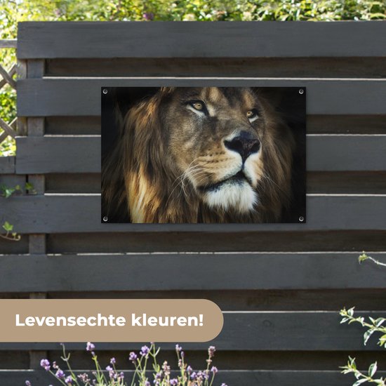 Tuinposter 90x60 cm - Tuindecoratie Leeuw - Vacht - Zwart - Poster voor in de tuin - Buiten decoratie - Schutting tuinschilderij - Tuindoek muurdecoratie - Wanddecoratie balkondoek