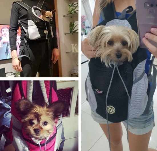 Mobiclinic® pets, Rugzak voor huisdieren, Tula, Opvouwbaar, Ventilatie, Zakken, Inclusief voederbakje zakjes, Meerdere toegangen