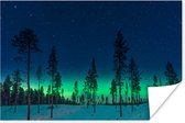 Poster Noorderlicht - Sneeuw - Bomen - Natuur - Groen - 30x20 cm