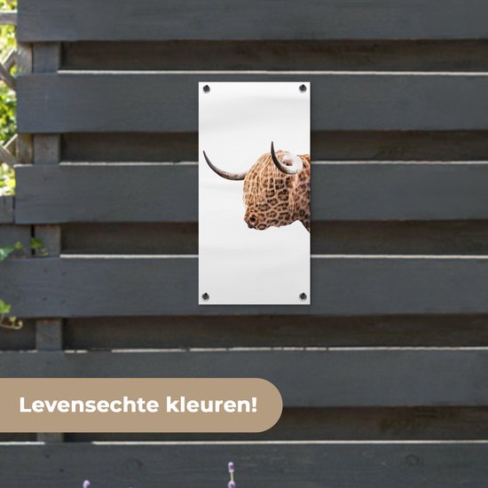 Tuinposter 30x60 cm - Tuindecoratie Schotse hooglander - Panter - Wit - Poster voor in de tuin - Buiten decoratie - Schutting tuinschilderij - Tuindoek muurdecoratie - Wanddecoratie balkondoek