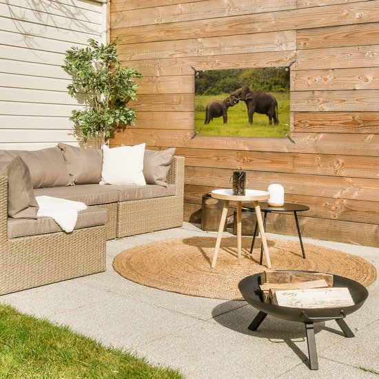 Décoration de jardin Deux éléphants combattants - 60x40 cm - Poster jardin - Toile jardin - Poster extérieur
