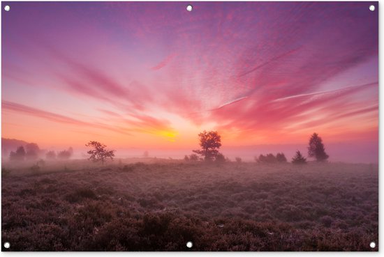 Foto: Tuinposter tuindoek tuinposters buiten paarse tinten in nederlands landschap 120x80 cm tuin