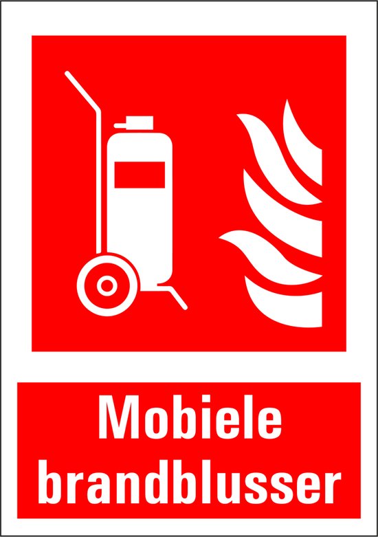 Cartello Antincendio Formato A4 210x297 Mm – Azioni In Caso Di Incendio – Conforme Norma EN ISO 7010:2016 – Durevole E Facile Da Applicare