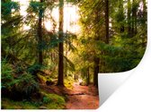 Stickers muraux - Film autocollant - Forêt - Chemin - Arbres - Vert - Soleil - Nature - 160x120 cm - Film adhésif - Stickers muraux Chambre d'enfant - Papier peint autocollant XXL - Papier peint autocollant - Film autocollant