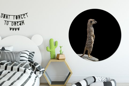 WallCircle - Cercle Mural - Cercle Mural - Suricate - Animaux Sauvages - Zwart - Aluminium - Dibond - 120x120 cm - Intérieur et Extérieur XXL