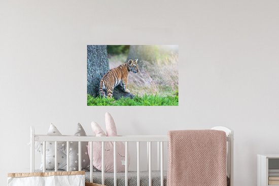 Stickers muraux - Film adhésif - Tigre dans la forêt - 60 x 40 cm - Film adhésif - Stickers muraux chambre d'enfant - Papier peint autocollant - Film adhésif