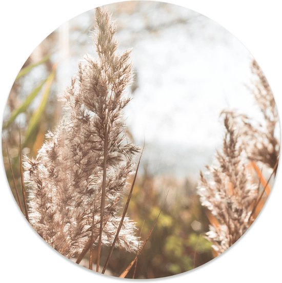 Label2X Herbe circulaire murale - Ø 60 cm - Dibond (intérieur & extérieur)