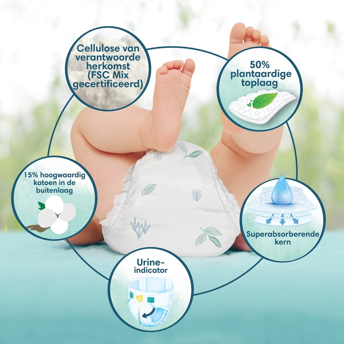 Pampers - Pampers Harmonie Maat 3 Geschikt voor 6-10kg - 74 Luiers