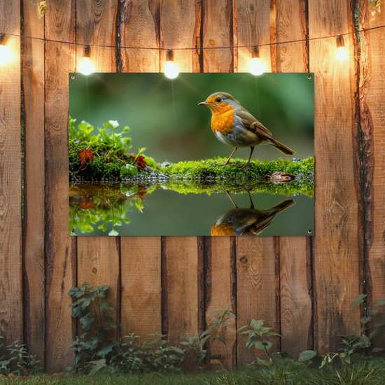 Tuinposter 120x80 cm - Tuindecoratie Roodborstje - Vogels - Natuur - Groen - Vogel - Poster voor in de tuin - Buiten decoratie - Schutting tuinschilderij - Tuindoek muurdecoratie - Wanddecoratie balkondoek
