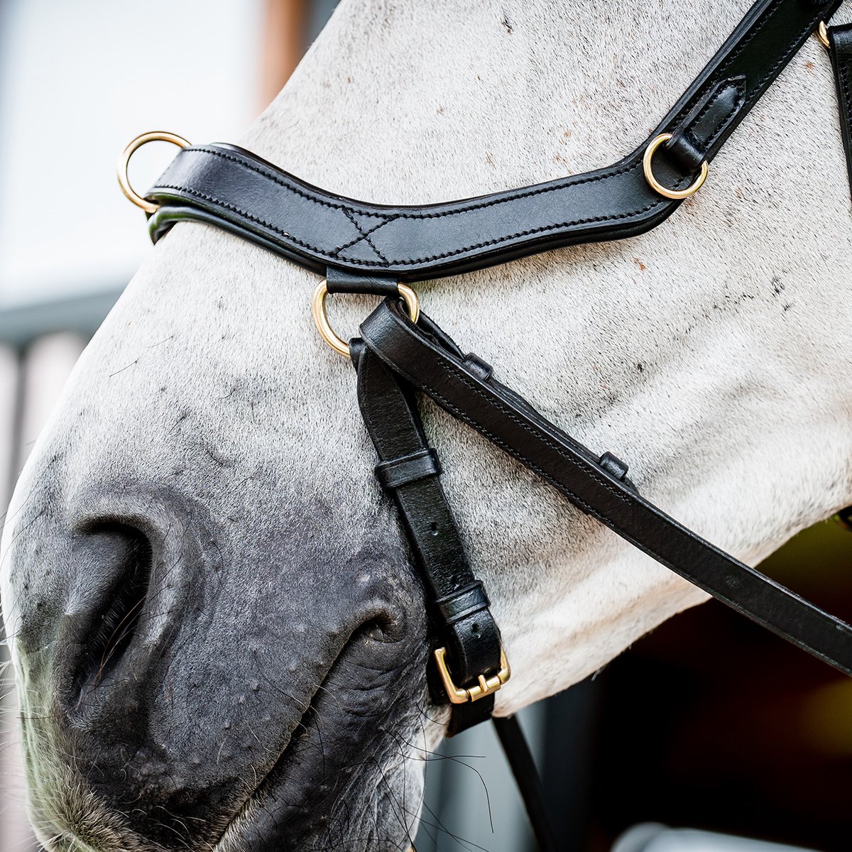 Bridle Multi Rambo Micklem Noir - Taille Cheval Standard - Neuf Avec étiquettes