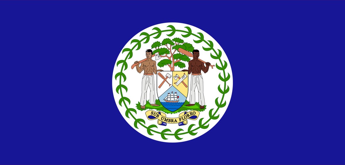 Vlag Belize 50x75cm