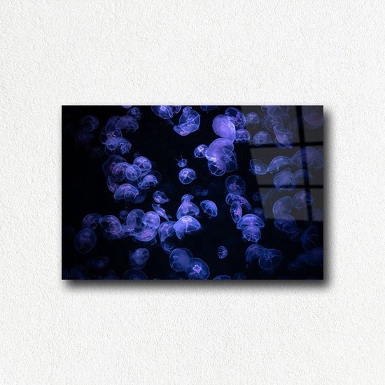 Indoorart - Glasschilderij kwallen - Afbeelding op plexiglas - Inclusief montagemateriaal