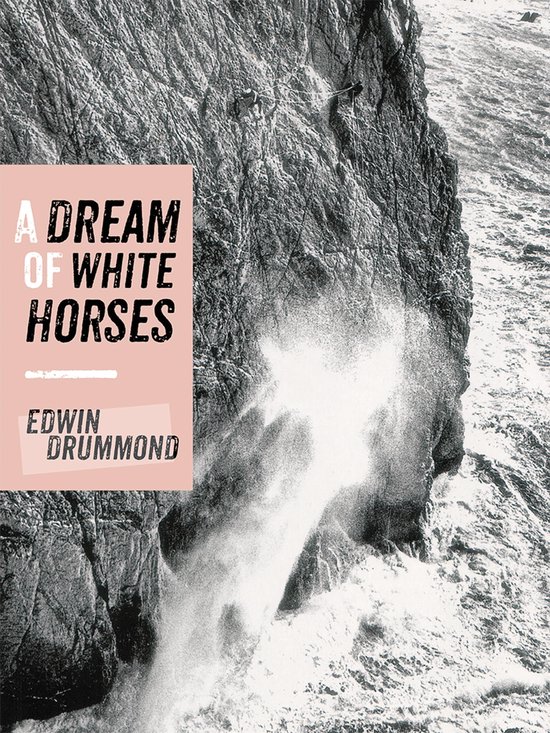 A Dream of White Horses - cover
