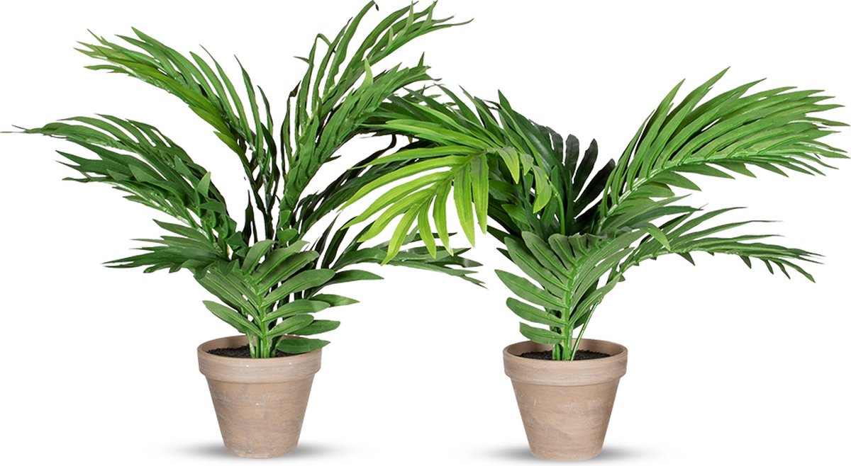 HTT Decorations Kunstplant Areca palm H35 cm (2 stuks) Groen