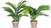 Kunstplant Areca palm H35 cm (2 stuks)