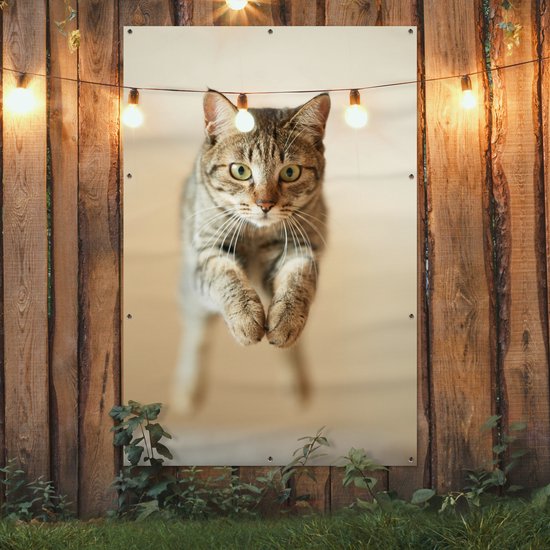 Décoration murale Chat sautant dans les airs - 120x180 cm - Affiche jardin