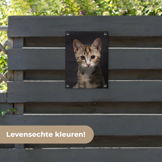 Tuinposter 30x40 cm - Tuindecoratie Kat - Zwart - Portret - Poster voor in de tuin - Buiten decoratie - Schutting tuinschilderij - Tuindoek muurdecoratie - Wanddecoratie balkondoek