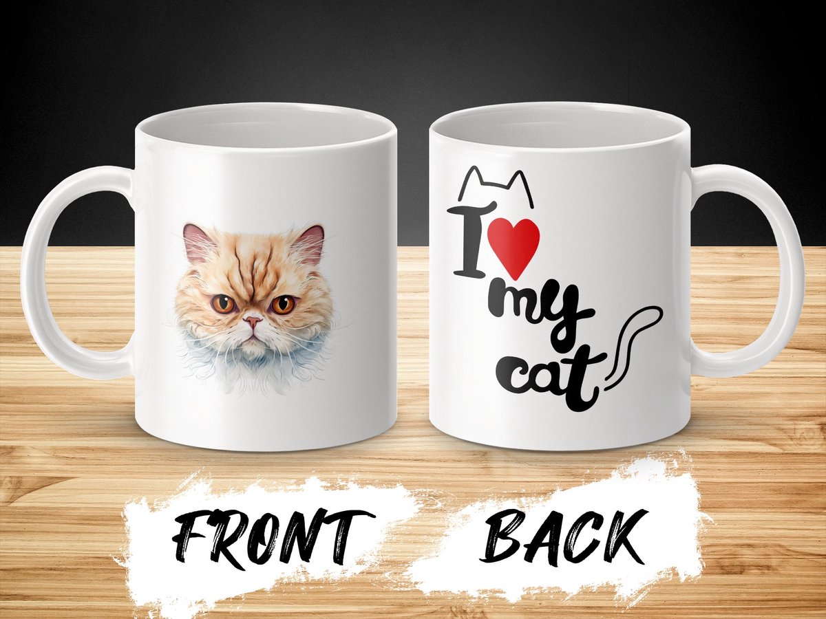 Mok Exotic Shorthair cat - kat - I love my cat - cat lovers - katten