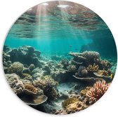 PVC Schuimplaat Muurcirkel - Onderwater - Zee - Water - Koraal - Dieren - Kleuren - Zand - 70x70 cm Foto op Muurcirkel (met ophangsysteem)