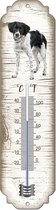 Thermometer: Friese Stabij | Hondenras | Temperatuur binnen en buiten | -25 tot +45C