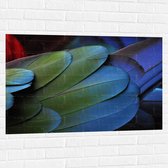 WallClassics - Muursticker - Veren van een Gekleurde Papegaai - 105x70 cm Foto op Muursticker