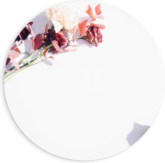 PVC Schuimplaat Muurcirkel - Kader van Tak met Roze Bloemen - 90x90 cm Foto op Muurcirkel (met ophangsysteem)