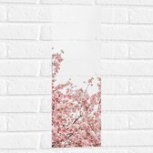 Muursticker - Roze Sakura - 20x60 cm Foto op Muursticker